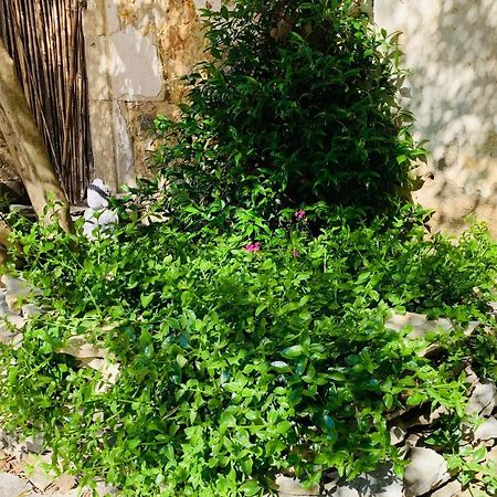 Appartement Avec Jardin Privatif Cazouls-lès-Béziers Eksteriør bilde