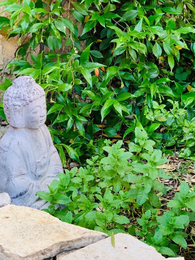 Appartement Avec Jardin Privatif Cazouls-lès-Béziers Eksteriør bilde